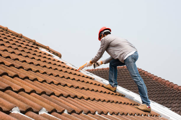Best Roof Replacement  in Longview, WA