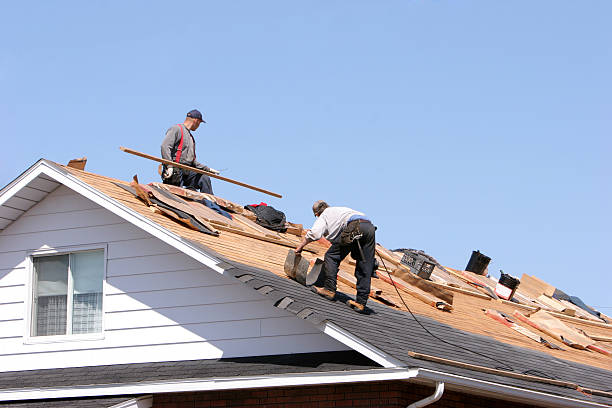 Best Cold Roofs  in Longview, WA